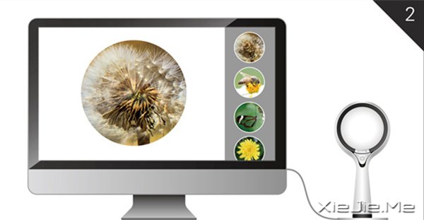 ţ�ƵķŴ�������ģ�