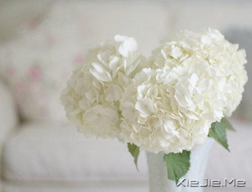 ���㶮�ã�������ϧ (10)