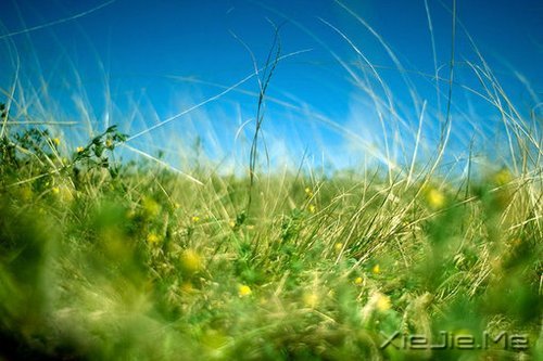 ��Ҫ�������ˣ���Ҫ����Լ� (10)