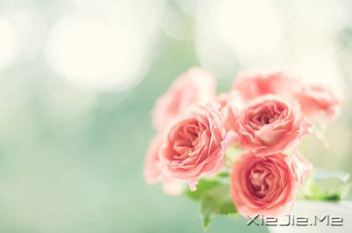 �����ӹ���ʫ���򵥶����� (1)