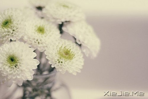 �����ӹ���ʫ���򵥶����� (4)