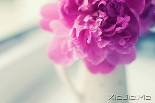 Ҫ�����Լ�����Ҫ�����Լ� (1)