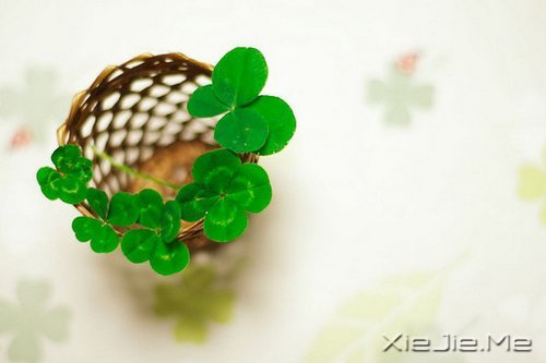 ���죬���ǿ��ƣ����ǿ��� (1)