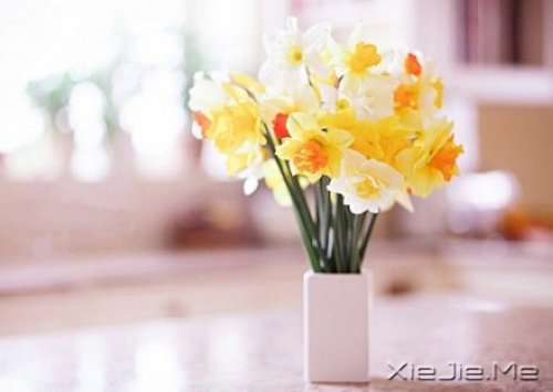 有的人你看了一眼,却惦念了一生 (3)