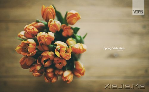 ����ʢ����������� (10)