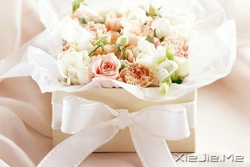 ��׷��ʲô����ȥŬ���� (3)