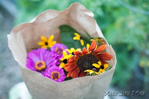 ���ۺû������춼�ᵽ�� (3)