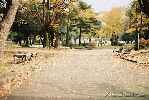 �簲������������Ե��ӵ��һ��ƽ���� (11)