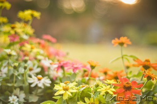 ���µģ��������� (7)