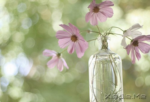 ��������ҵ�������· (6)