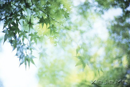 ���������ʱ���������������Ǹ�������ʱ�� (3)