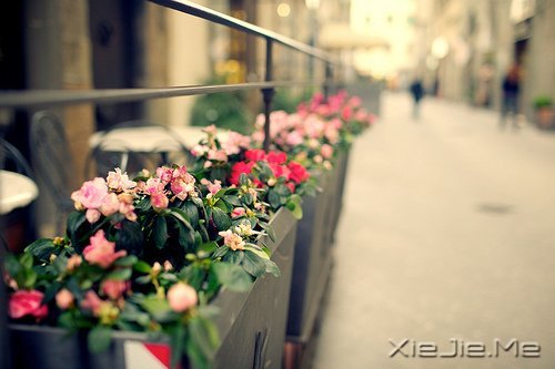 早安心语:过去的就过去了,世界依然美好 (1)