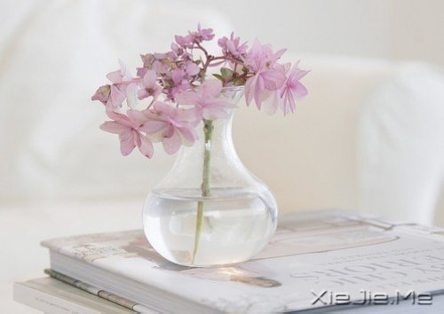 �簲�������ĺ�����ǳǳ��΢Ц (1)