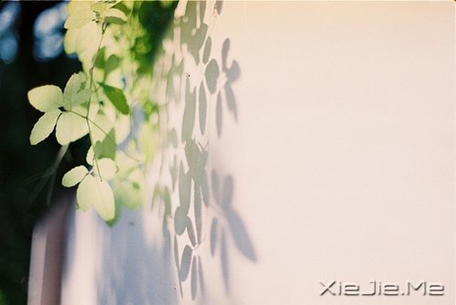 早安心语:生活中最大的幸福是坚信有人爱着我们 (3)