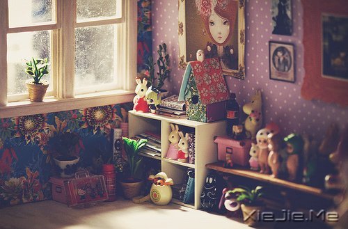 晚安心语:生命必须有裂缝,阳光才能照进来 (5)