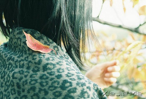 晚安心语:做自己生命的主角,而不是别人生命中的看客 (8)