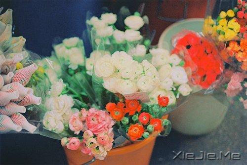 梦想很轻,却因此拥有飞向蓝天的力量 (3)