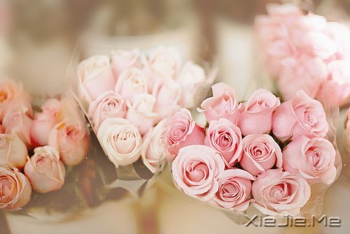 ������������������Ҹ� (4)