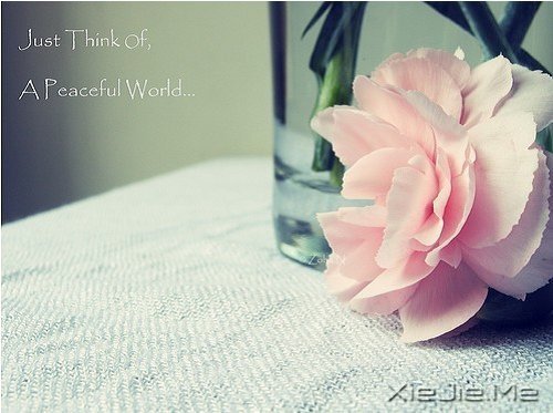 ��������������ˣ��������� (7)