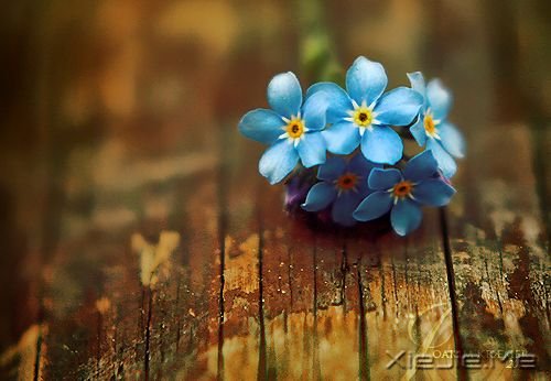 �簲���������������һ���˵����� (9)