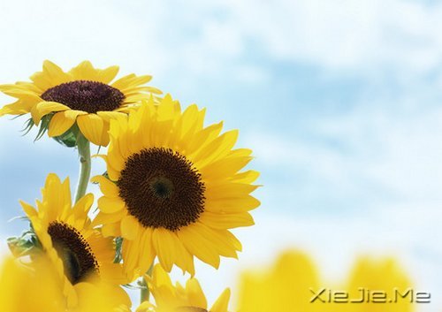 ���������Ļ��������ִܵ����ĵķ��� (1)