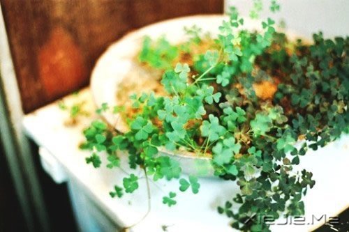 �ߵ���Ķ���������ʱ�� (4)