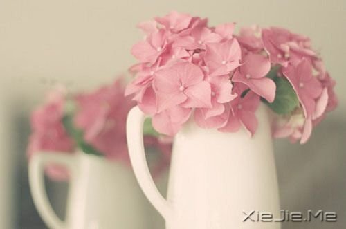 �簲����㿴����̫���ף�������ʧ�����µ����� (6)