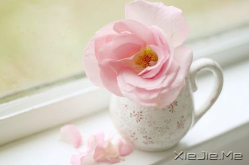 晚安心语:青春带着疼痛,却又义无反顾 (1)