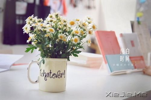 早安心语:若能一切随它去,便是世间自在人 (6)