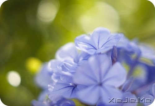 �簲�����ֻ��Ц�ĺܻ������˲Ų��ᱻ���� (9)