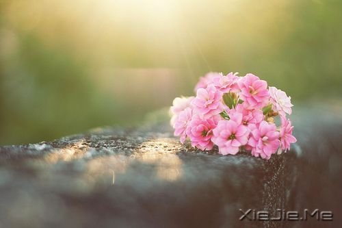 晚安心语:彷徨时,多一份信念 (10)