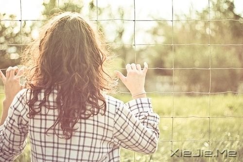 晚安心语:美从来不少,只要去寻找 (10)