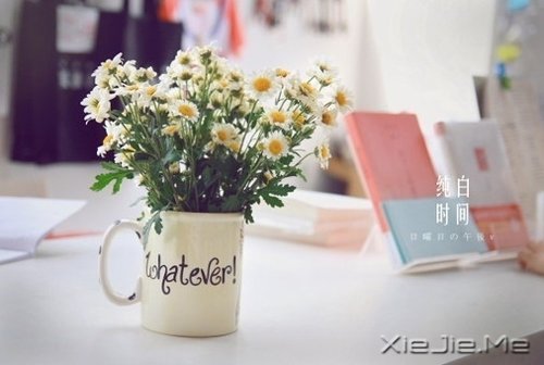 �簲�����Ϊ�Լ����Ϊ���ˣ���������� (1)