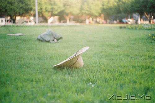 �簲�����Ϊ�Լ����Ϊ���ˣ���������� (4)