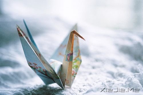 晚安心语:只要心跳还在,演出就没有落幕 (6)