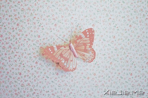 早安心语:生活总会给你第二次机会,叫明天 (8)