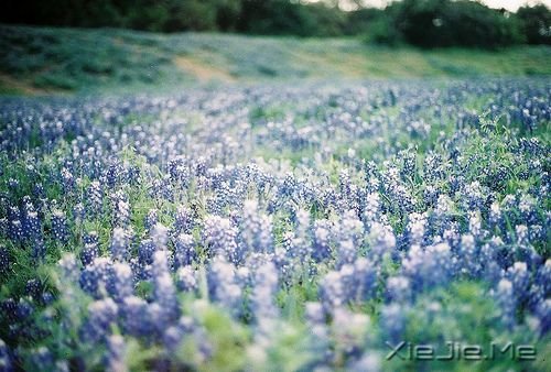 晚安心语:输什么也不能输了心情 (2)