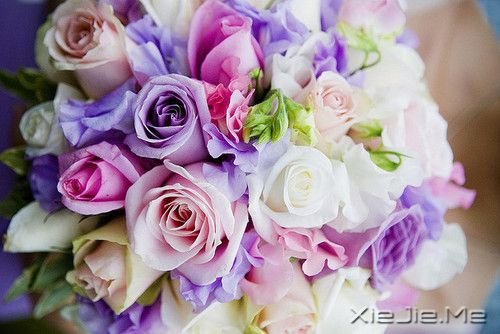 晚安心语:别忘了最初的自己 (5)