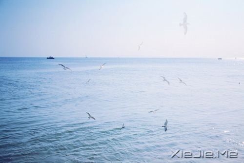 �������һ����ʱ���ƴ��Լ���������ʱ���ƴ��Է� (7)