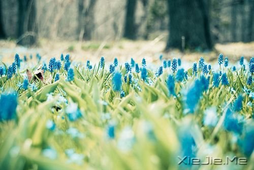 �簲���ͯ��δ������һ��ֵ�ý��������� (9)