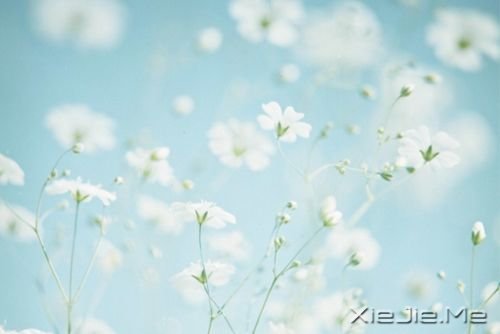 �簲��������ܻ������һ�����ᣬ������������ (7)