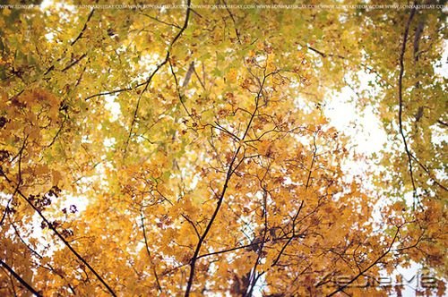 �簲����:�Լ���Ц�ݲ��������ķ羰 (10)