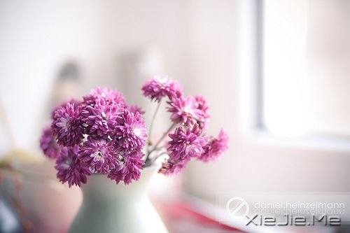 �����������������Ц����������ϧ (2)