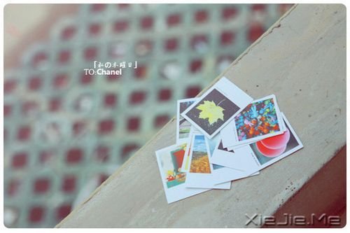 �簲������ɿ�����ӵ�е���һ�� (6)