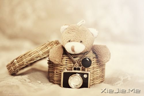 �簲������ס��ļ�֣��ɹ����ڹ��䴦 (2)