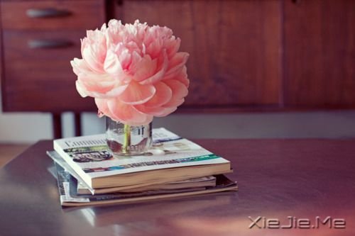 �簲�����������ֻ��������Ը�����ŵĶ��� (8)