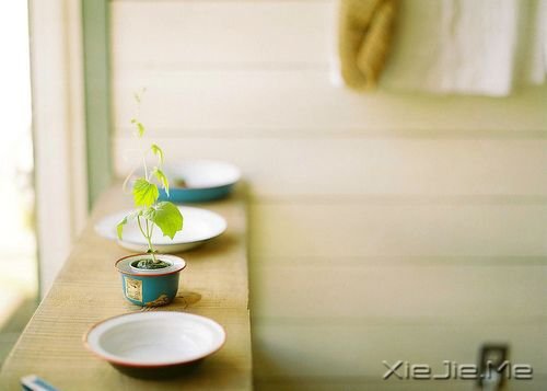 小清新图片 (21)