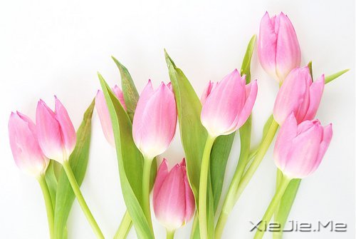 �������İ�����ʵ�����Լ��మ