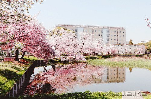 ������Լ���10��Լ�� (2)