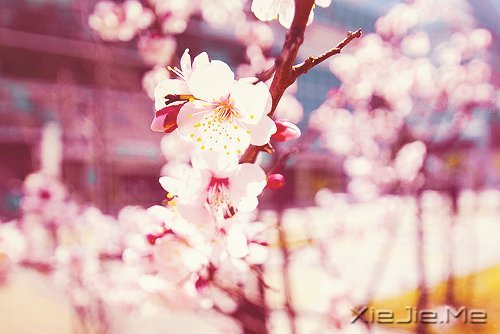 ������Լ���10��Լ�� (4)